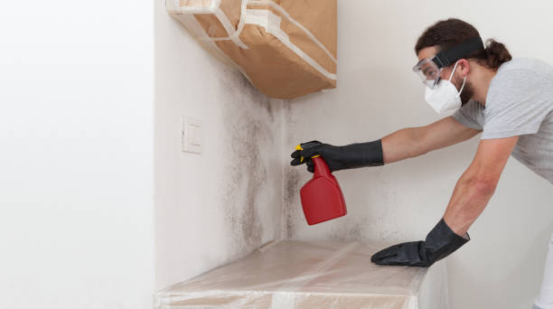 Professional Crawl Space Mold Remediation technician working in Mound, MN